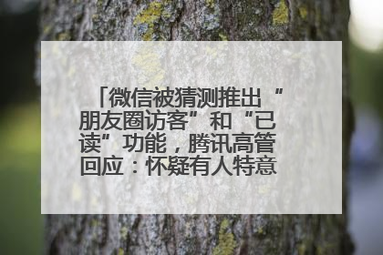 微信被猜测推出“朋友圈访客”和“已读”功能，腾讯高管回应：怀疑有人特意反复翻炒流量