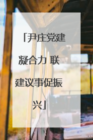 尹庄党建凝合力 联建议事促振兴