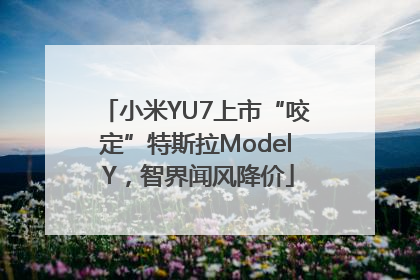 小米YU7上市“咬定”特斯拉Model Y，智界闻风降价