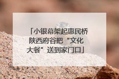 小银幕架起惠民桥 陕西府谷把“文化大餐”送到家门口