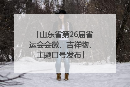 山东省第26届省运会会徽、吉祥物、主题口号发布