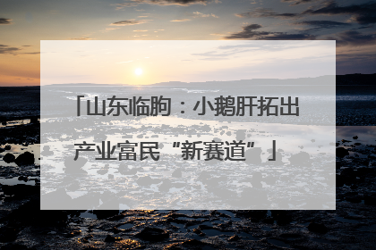 山东临朐：小鹅肝拓出产业富民“新赛道”