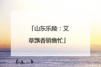 山东乐陵：艾草飘香销售忙