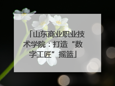 山东商业职业技术学院：打造“数字工匠”摇篮