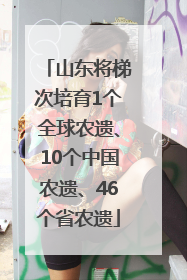 山东将梯次培育1个全球农遗、10个中国农遗、46个省农遗