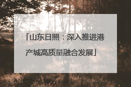 山东日照：深入推进港产城高质量融合发展