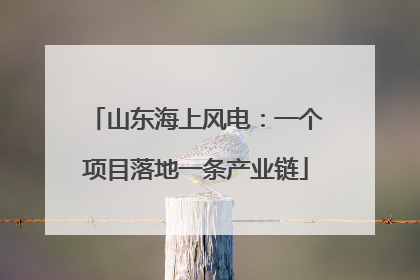 山东海上风电：一个项目落地一条产业链