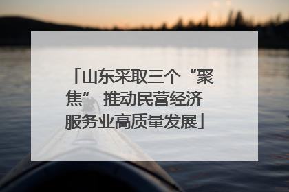 山东采取三个“聚焦” 推动民营经济服务业高质量发展