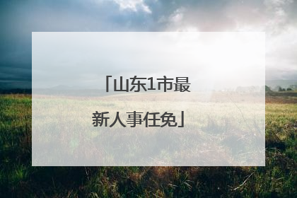 山东1市最新人事任免