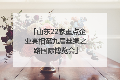 山东22家重点企业亮相第九届丝绸之路国际博览会