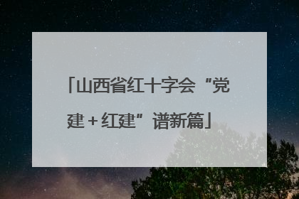 山西省红十字会“党建＋红建”谱新篇