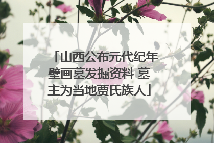 山西公布元代纪年壁画墓发掘资料 墓主为当地贾氏族人