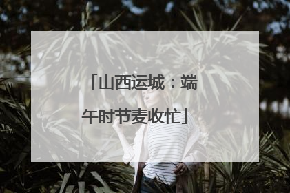 山西运城：端午时节麦收忙