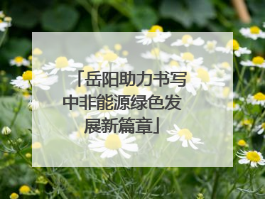 岳阳助力书写中非能源绿色发展新篇章