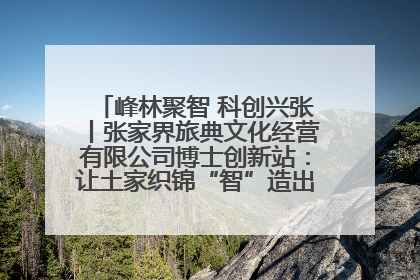 峰林聚智 科创兴张丨张家界旅典文化经营有限公司博士创新站：让土家织锦“智”造出非遗新传奇