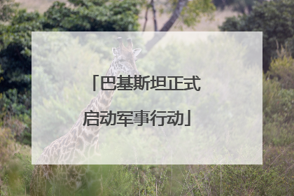 巴基斯坦正式启动军事行动