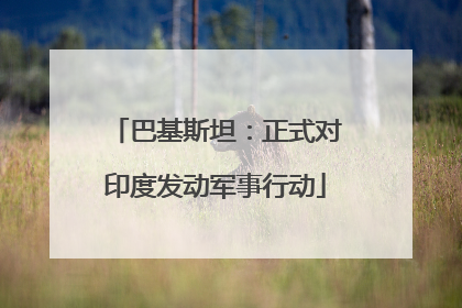 巴基斯坦：正式对印度发动军事行动