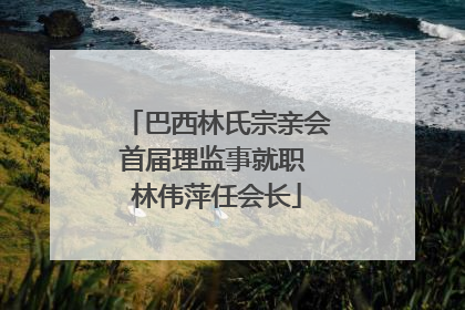 巴西林氏宗亲会首届理监事就职 林伟萍任会长
