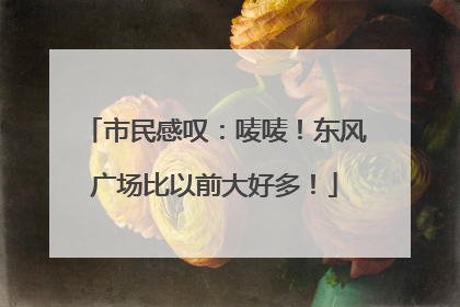 市民感叹：唛唛！东风广场比以前大好多！