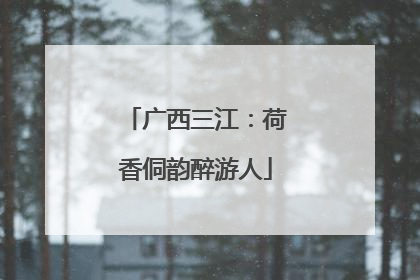 广西三江：荷香侗韵醉游人