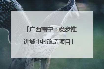 广西南宁：稳步推进城中村改造项目