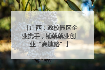 广西：政校园区企业携手，铺就就业创业“高速路”