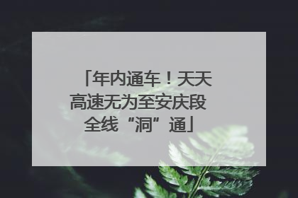 年内通车！天天高速无为至安庆段全线“洞”通