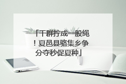 干群拧成一股绳！夏邑县骆集乡争分夺秒促夏种