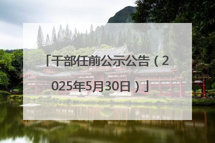 干部任前公示公告（2025年5月30日）
