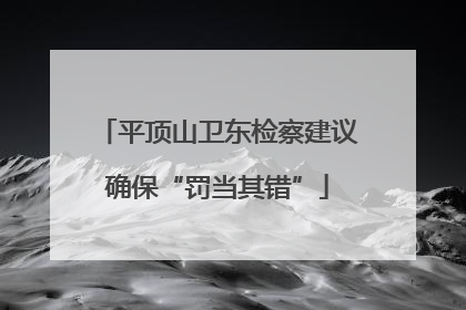 平顶山卫东检察建议确保“罚当其错”