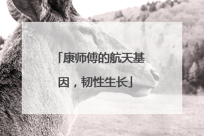 康师傅的航天基因，韧性生长