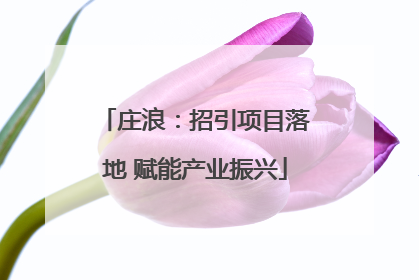 庄浪：招引项目落地 赋能产业振兴