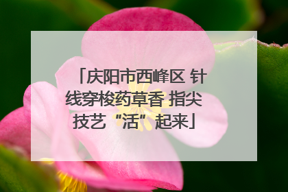 庆阳市西峰区 针线穿梭药草香 指尖技艺“活”起来