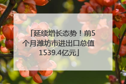 延续增长态势！前5个月潍坊市进出口总值1539.4亿元