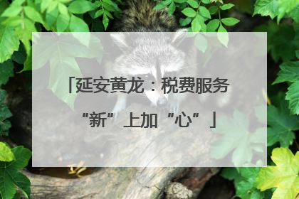 延安黄龙：税费服务“新”上加“心”