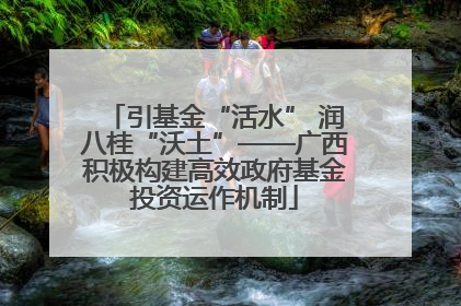 引基金“活水” 润八桂“沃土”——广西积极构建高效政府基金投资运作机制