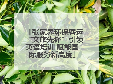 张家界环保客运“文旅先锋”引领英语培训 赋能国际服务新高度