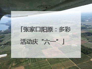 张家口阳原：多彩活动庆“六一”
