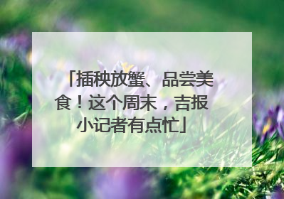 插秧放蟹、品尝美食！这个周末，吉报小记者有点忙