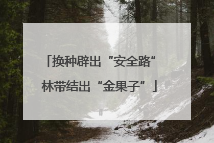 换种辟出“安全路” 林带结出“金果子”