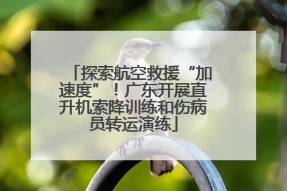 探索航空救援“加速度”！广东开展直升机索降训练和伤病员转运演练