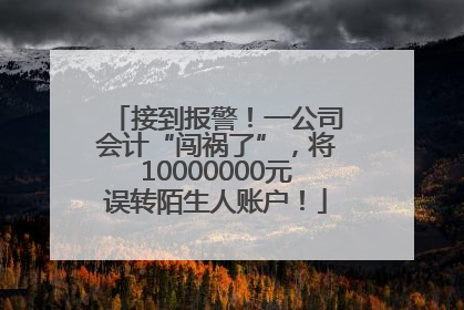 接到报警！一公司会计“闯祸了”，将10000000元误转陌生人账户！