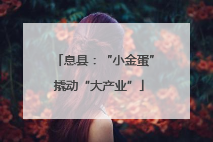 息县：“小金蛋”撬动“大产业”