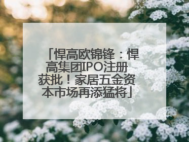 悍高欧锦锋：悍高集团IPO注册获批！家居五金资本市场再添猛将