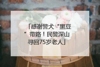 感谢警犬“黑豆”带路！民警深山寻回75岁老人