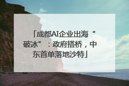 成都AI企业出海“破冰”：政府搭桥，中东首单落地沙特