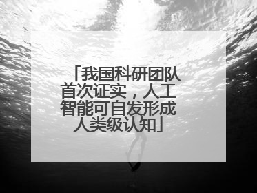 我国科研团队首次证实，人工智能可自发形成人类级认知