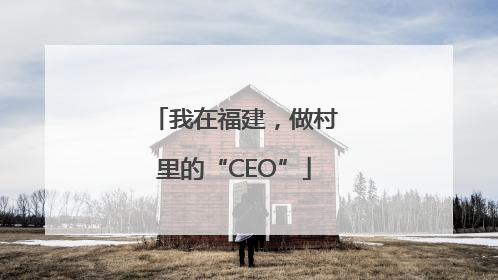 我在福建，做村里的“CEO”