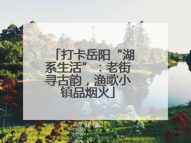 打卡岳阳“湖系生活”：老街寻古韵，渔歌小镇品烟火