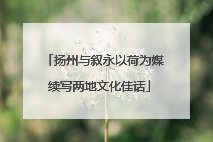 扬州与叙永以荷为媒续写两地文化佳话